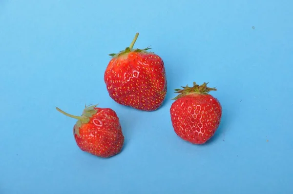 蓝底草莓属植物 — 图库照片