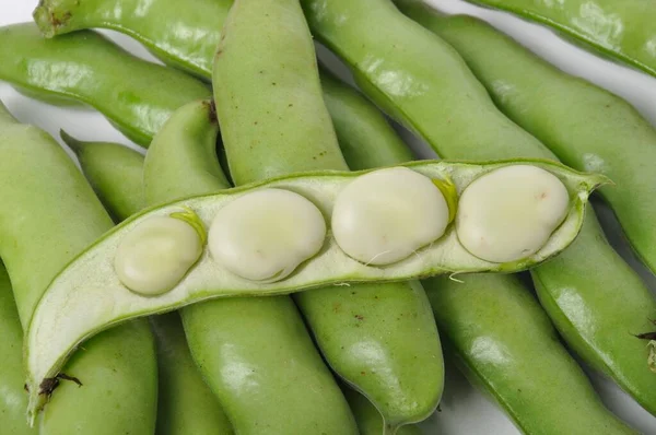 Broad Beans White Background Studio Shots — 图库照片