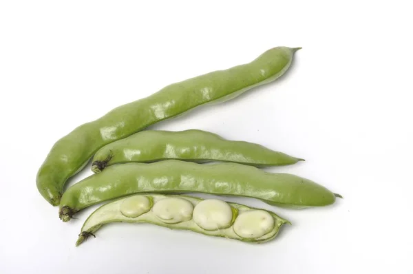 Broad Beans White Background Studio Shots — 图库照片