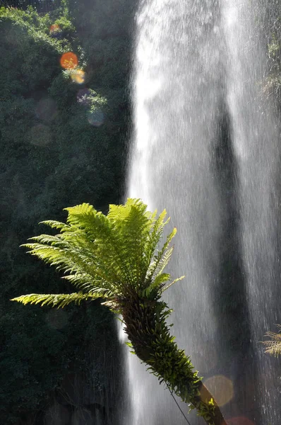 Jardin Extraordinaire Garden Nantes France Waterfall Rocks Lush Vegetation — Foto de Stock