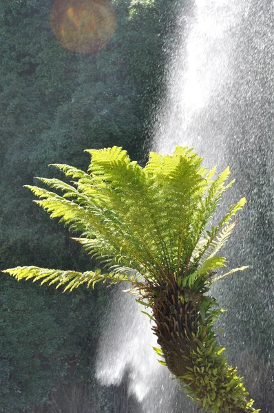 Jardin Extraordinaire Garden Nantes France Waterfall Rocks Lush Vegetation — Photo