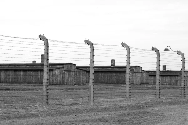 Zaun mit Stacheldraht — Stockfoto