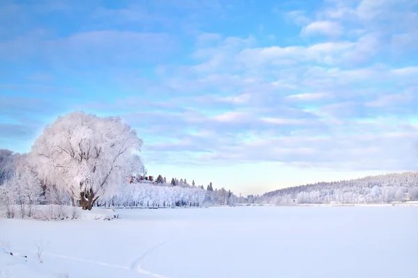 Vackert vinterlandskap i Hämeenlinna — Stockfoto