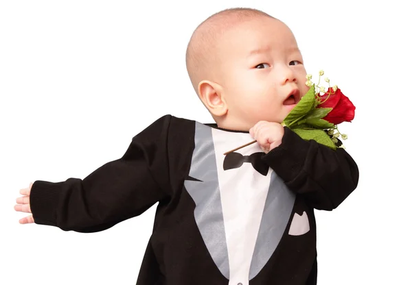 Asiático bebê em smoking segurando uma rosa Fotografia De Stock