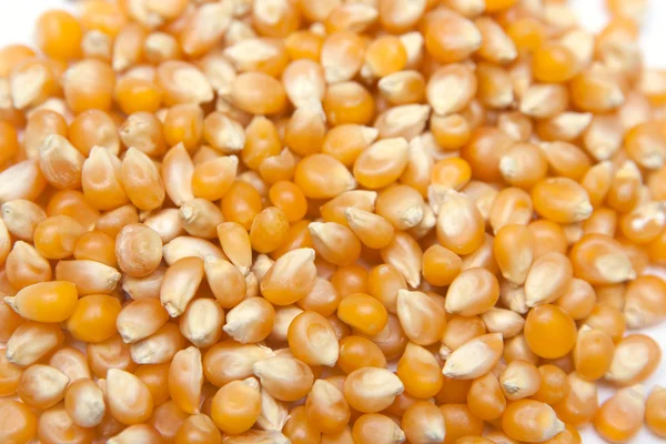 Corn beans background — Stock Photo, Image