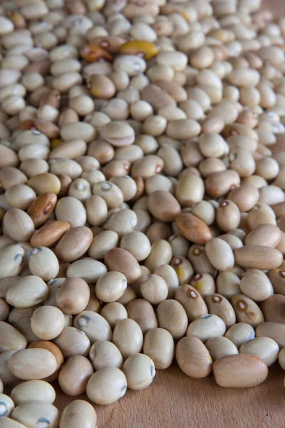 Filled up a lot of beans — Stock Photo, Image