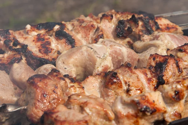Mięso z grilla na szpikulec — Zdjęcie stockowe