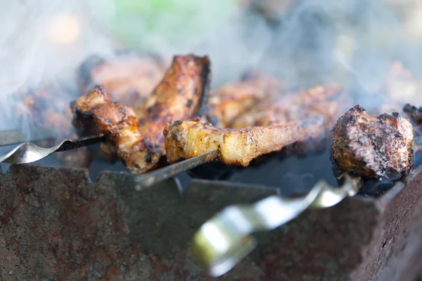 Mięso z grilla na szpikulec — Zdjęcie stockowe