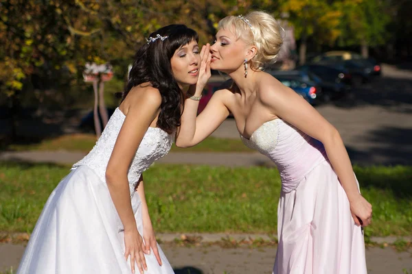 Secretive two brides — Stock Photo, Image