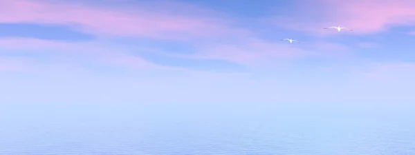 Чайок над океаном — стокове фото