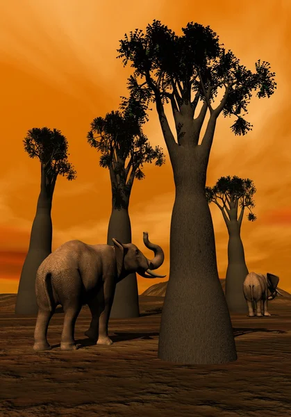 Elephants in the savannah — Stock Photo, Image