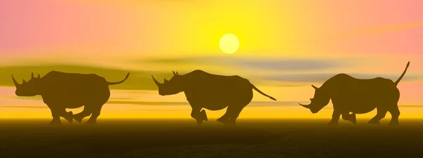 Running rhinoceros — Stock Photo, Image