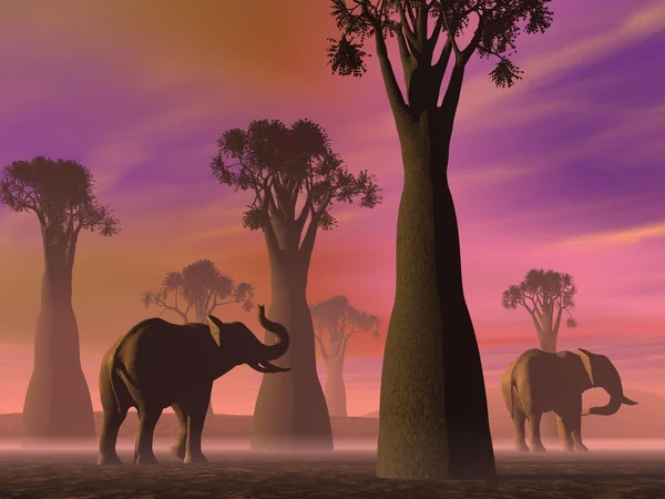 Elephants in the savannah — Stock Photo, Image