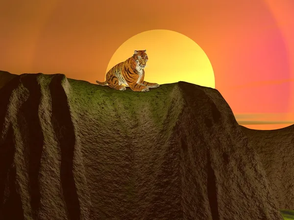 Tigris pihentető — Stock Fotó
