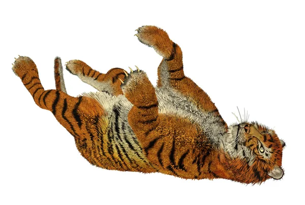 Тигр гра — стокове фото