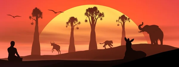 Meditation und Tierwelt bei Sonnenuntergang — Stockfoto