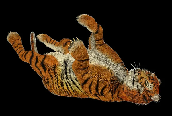 Тигр гра — стокове фото
