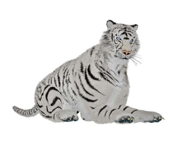 White tiger relaxing — Stock Photo, Image