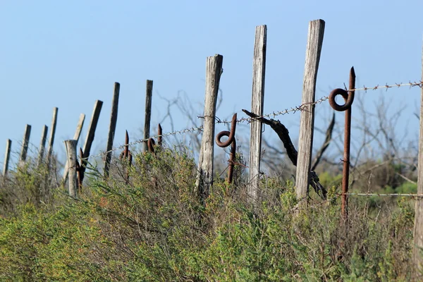 Kerítés és a szögesdrót, a természetben — Stock Fotó