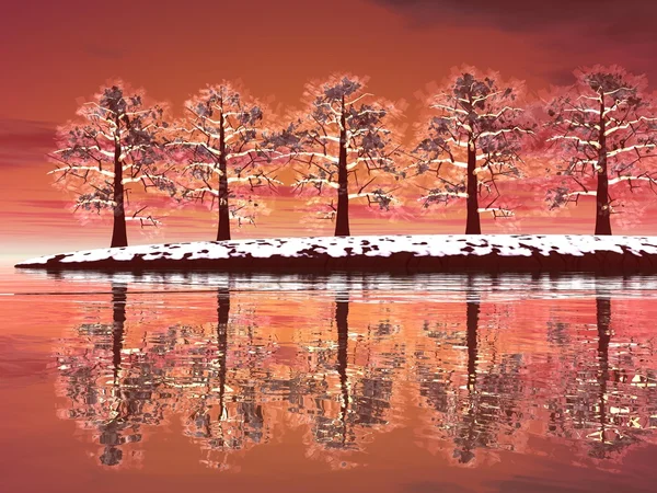Зимние деревья на закате — стоковое фото