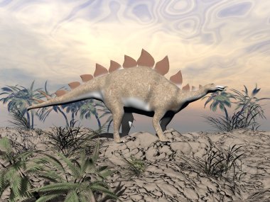 Vigilent stegosaurus