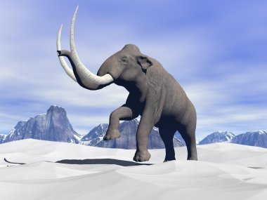 mamut kar