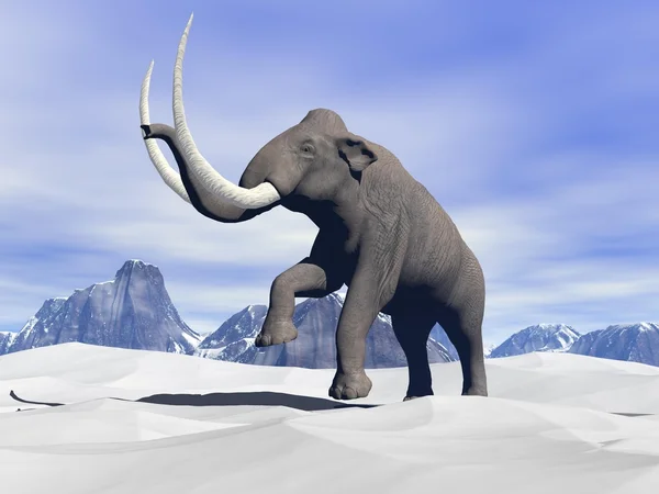 Mamut en la nieve — Foto de Stock