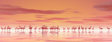 Flamingo - 3d render sürüsü