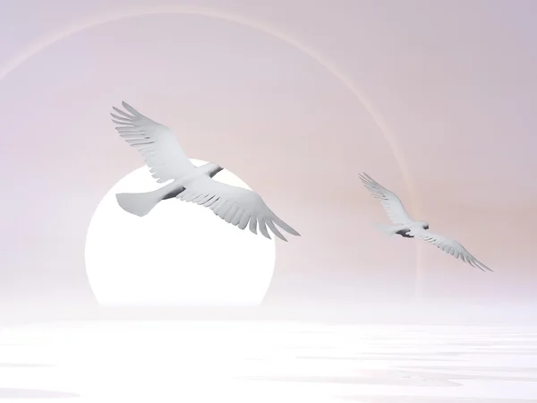 Безкоштовні голуби 3D рендеринг — стокове фото