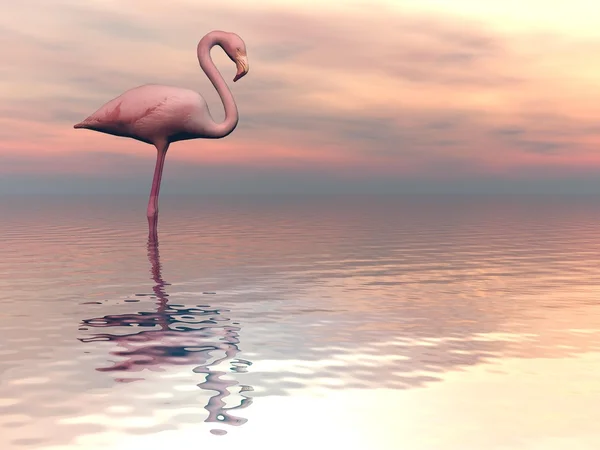 Huzurlu flamingo-3d render — Stok fotoğraf