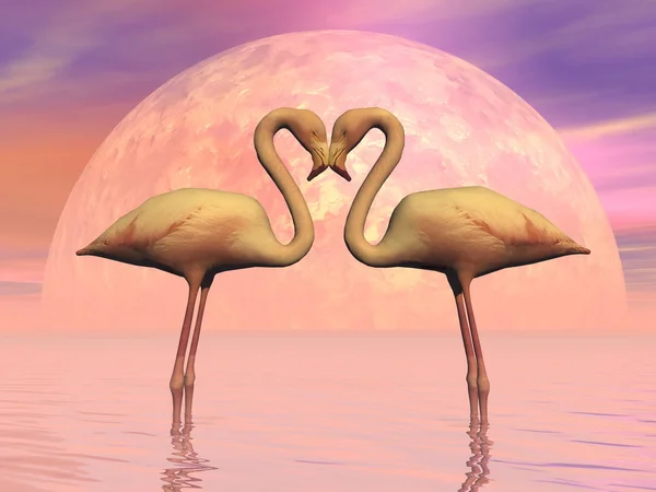 Flamingo Liebe - 3D-Rendering — Stockfoto