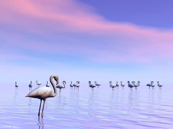 Stada flamingów - 3d Render — Zdjęcie stockowe