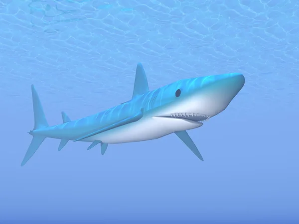 Shark - 3D render — Stock Photo, Image