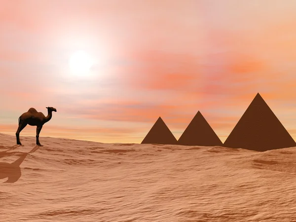 Camel and mysterious pyramids - 3D render — Stock Photo, Image