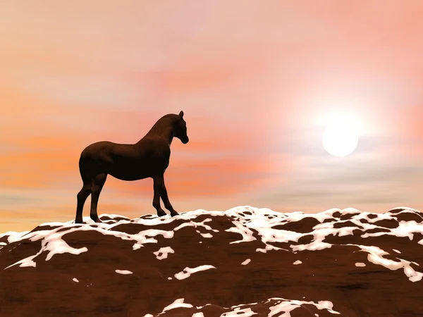 Horse meeting the sun - 3D render — Stock Photo, Image