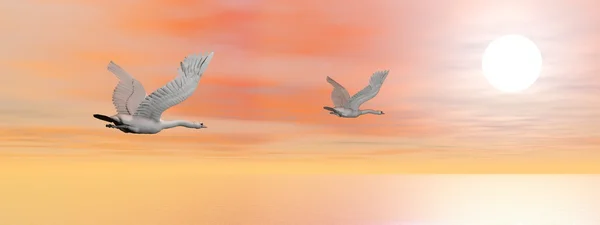 Migração de cisnes - renderização 3D — Fotografia de Stock