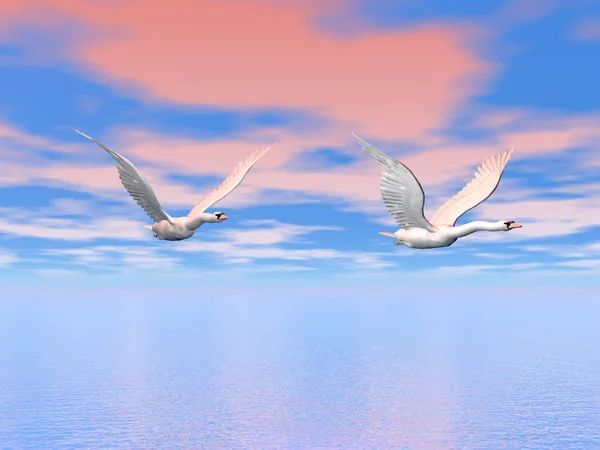 Cisnes volando - 3D render —  Fotos de Stock