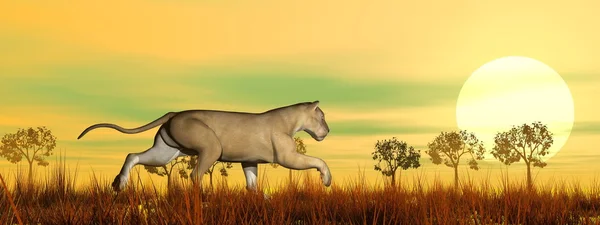 Löwin läuft in der Savanne - 3D-Darstellung — Stockfoto
