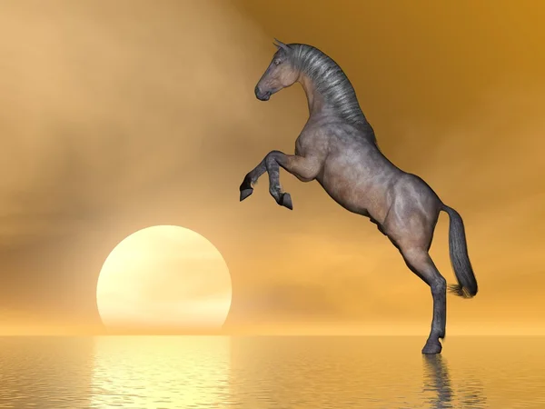 Лошадь, восходящая на солнце - 3D рендеринг — стоковое фото