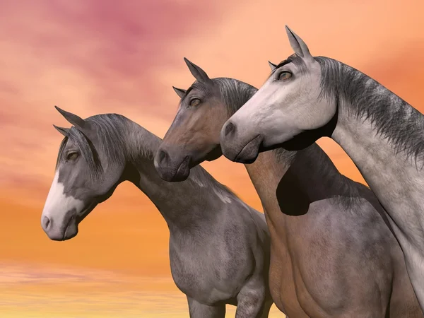 Portrait of three horses - 3D render — Stok fotoğraf