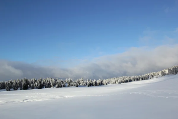 JURA bergen på vintern, Schweiz — Stockfoto