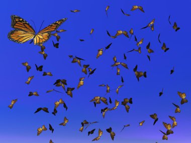 Monarch butterflies migration - 3D render
