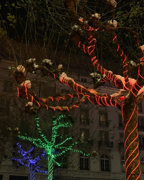 GENEVA, SVIZZERA - 2 DICEMBRE: festival delle luci sugli alberi i — Foto Stock