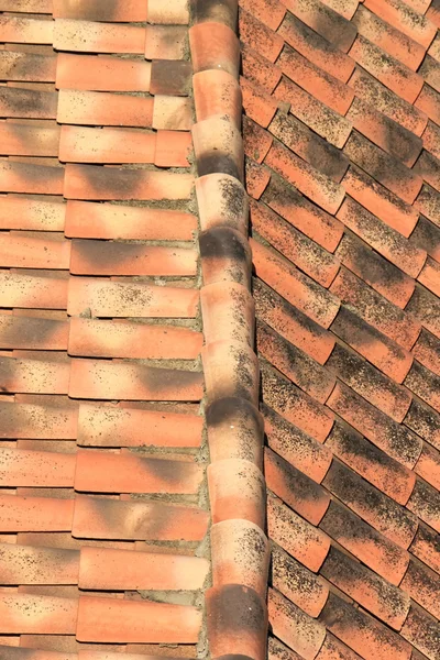 Tiles on a roof — Stock Photo, Image