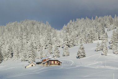 ev ve köknar ağacı kış, jura Dağı, İsviçre