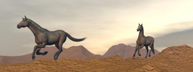çöl - 3d render dörtnala atlar