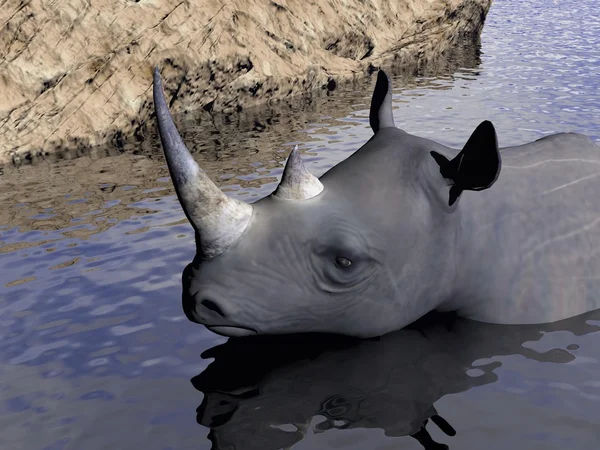 Rhinoceros bath - 3D render — Stock Photo, Image