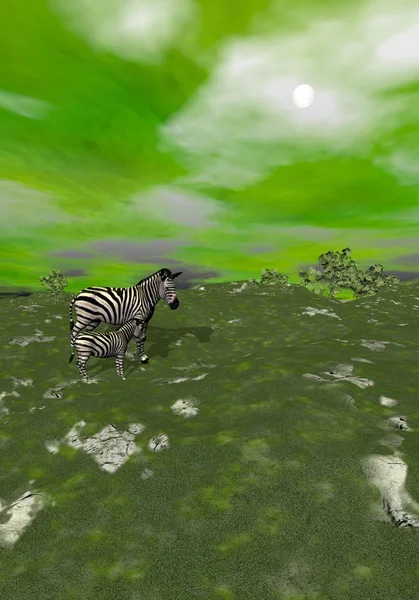 Anne ve bebek zebras otlak - 3d render — Stok fotoğraf