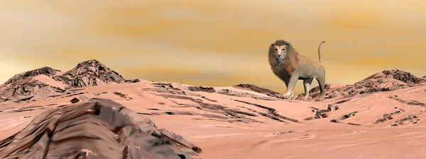 Lion in the desert - 3D render — Stock Photo, Image