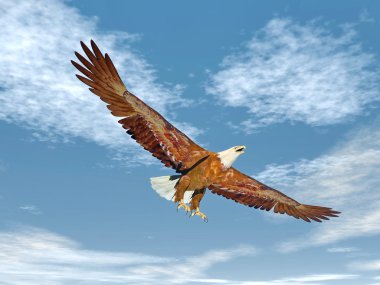 -3d render uçan kartal